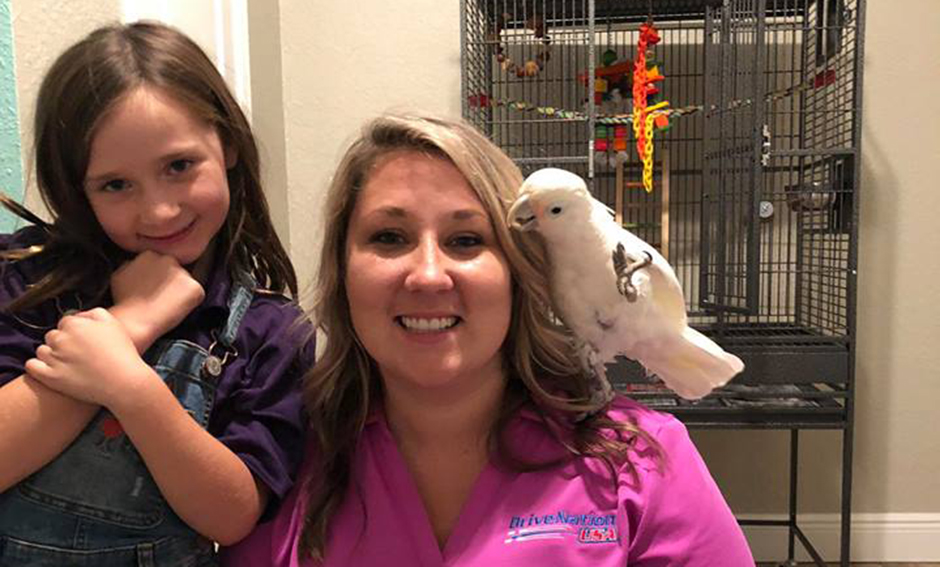 Tula, Goffin Cockatoo