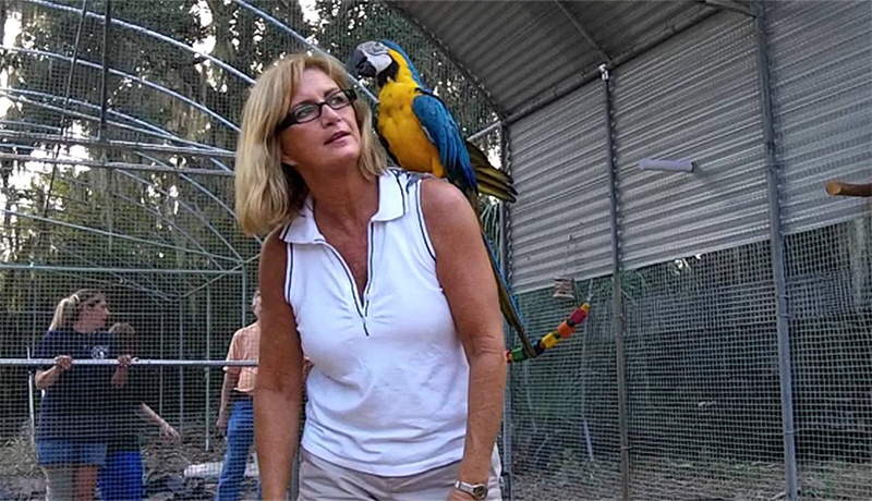 Troy Parrots Story