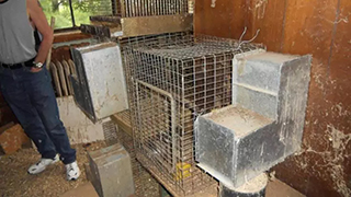 Ohio Emergency Rescue - Abandoned Parrots