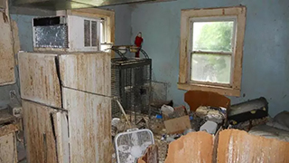 Ohio Emergency Rescue - Abandoned Parrots
