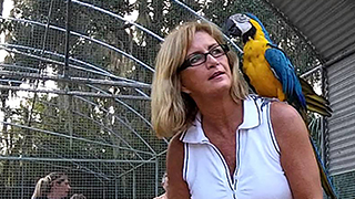 Ohio Emergency Rescue - Abandoned Parrots