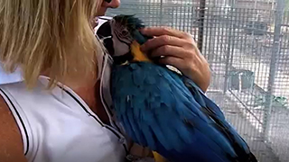 Ohio Emergency Rescue - Abandoned Parrots