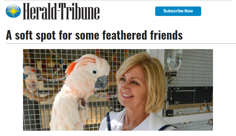 Herald Tribune - A Soft Spot for Some Feathered Friends